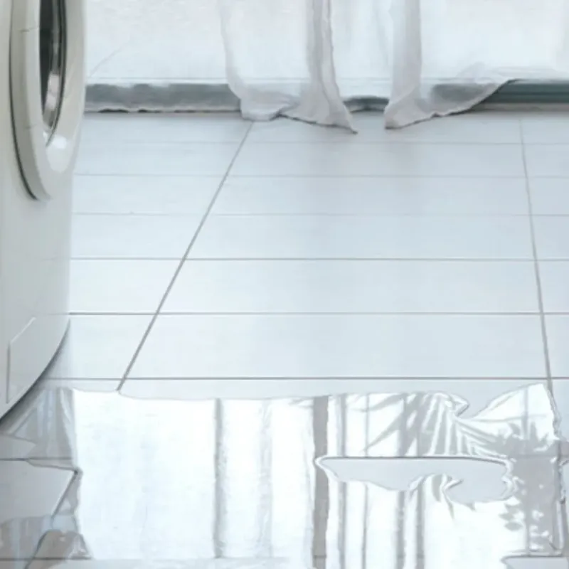 Appliance Leak Cleanup in Milton, DE