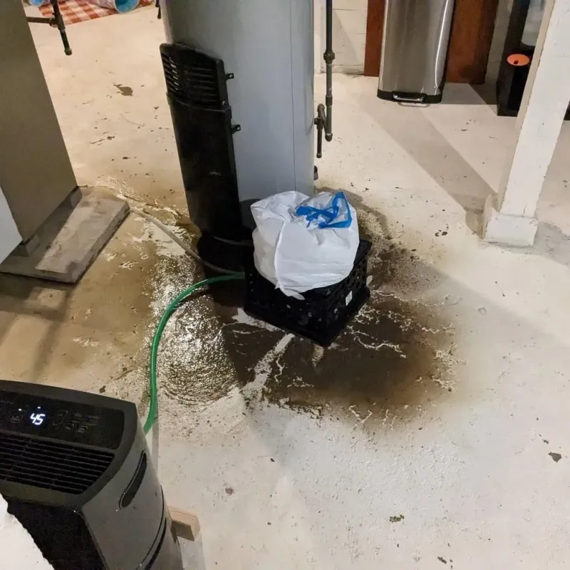 Sewage Backup Cleanup Service in Milton, DE